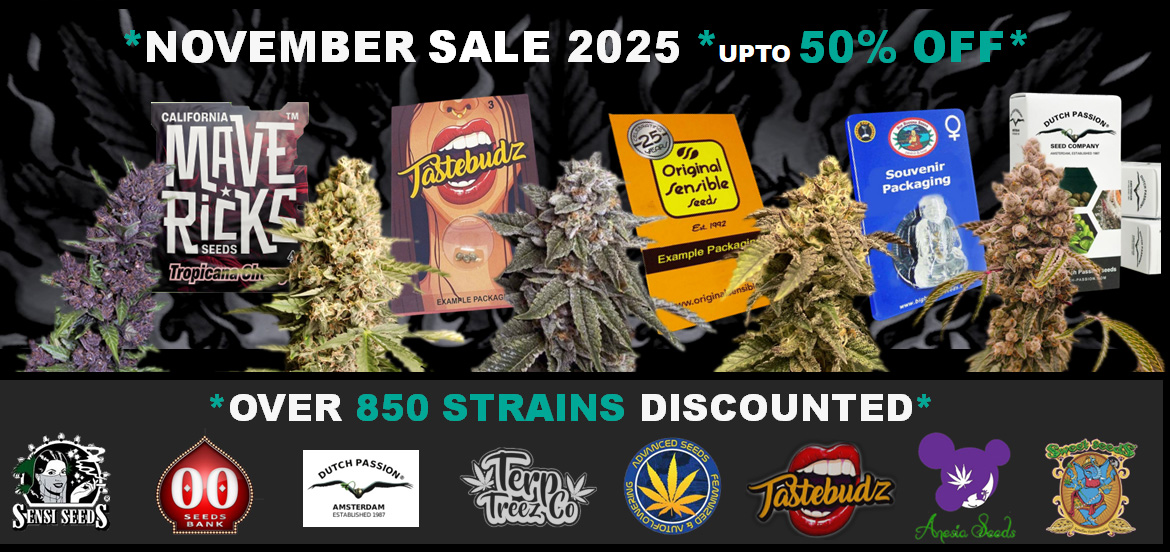 Cannabis Seeds Discount Sale on Strains by Dutch Passion, Terp Treez, Tastebudz, Anesia, Big Buddha Seeds, Mavericks, Narcos and Original Sensible Marijuana Strains Cheapest Seeds Online Desktop